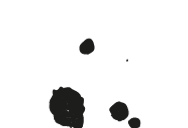 Black dots haphazardly splattered on the screen