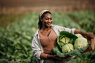 Smiling female farmer carrying a wicker basket full of freshly harvested cabbages in a cul
