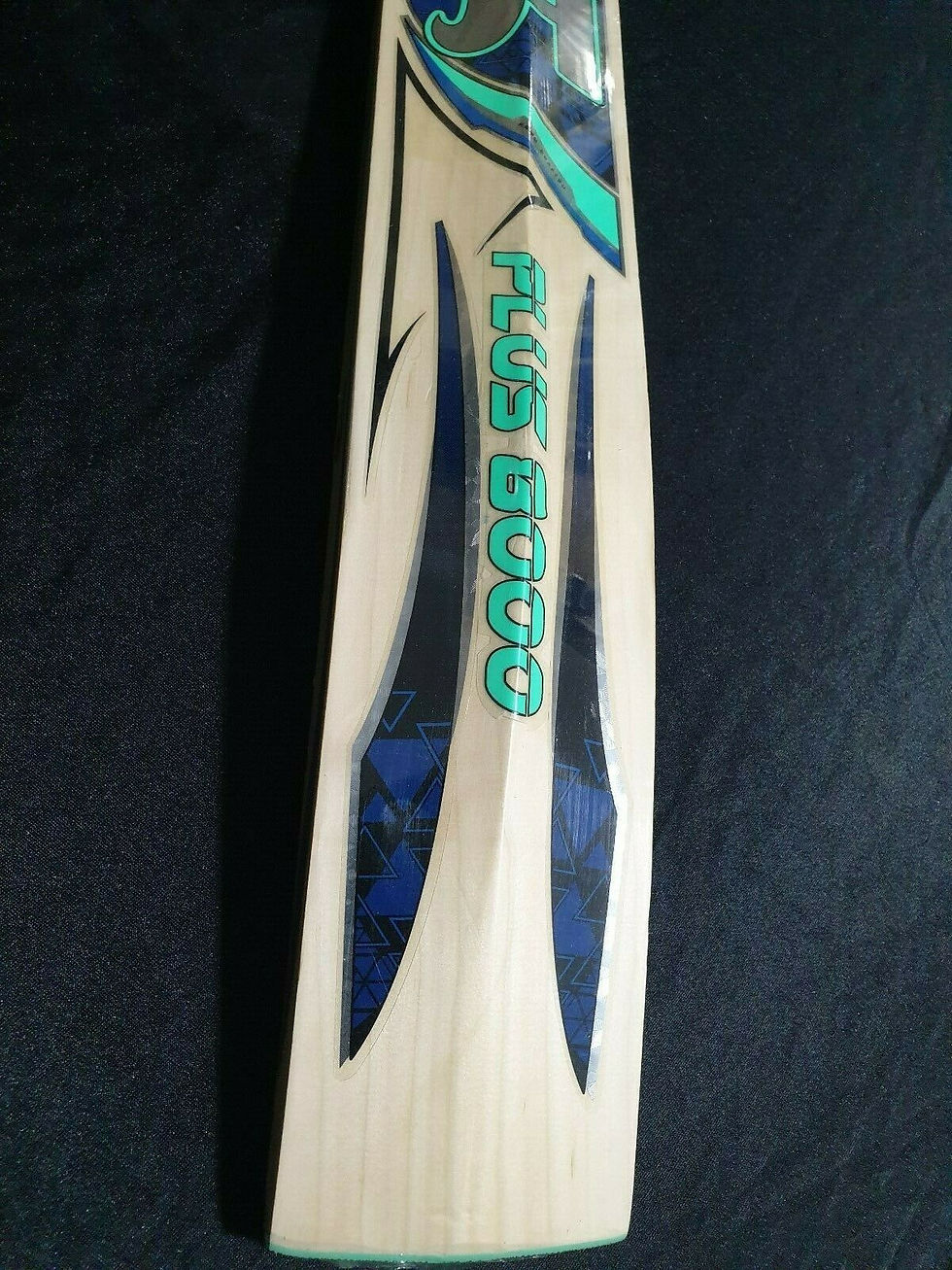Thumbnail: CA PLUS 8000 CRICKET BAT