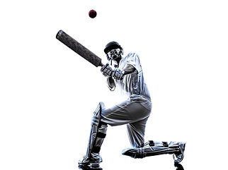 Cricket player batsman in silhouette sha