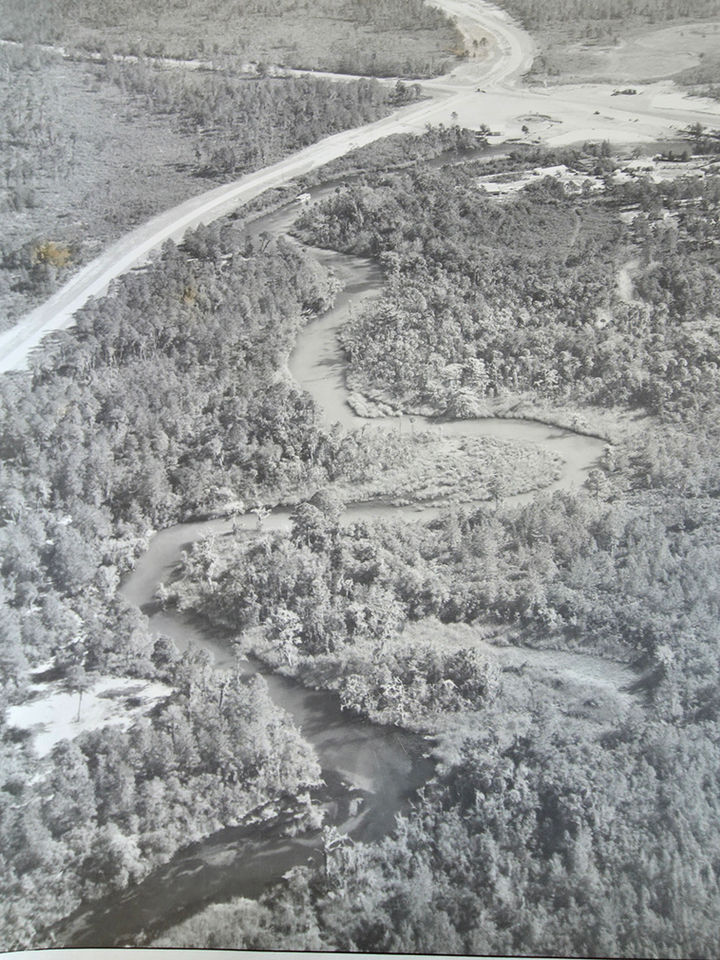 Upper Weeki Wachee River 1951. Courtesy of Hernando Historical Museum Association