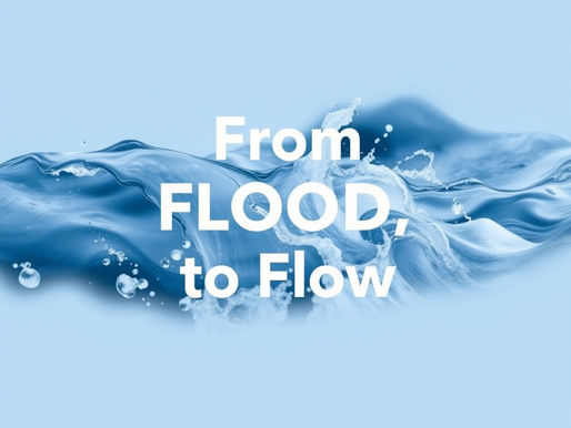 From Flood to Flow: Understanding Your Nervous System States (and How to Regulate)