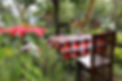 DAAE0193-2B6B-460B-8B7B-55CAF92293EA_1_105_c_edited.jpg