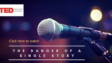 The Danger of a single Story (1).jpg