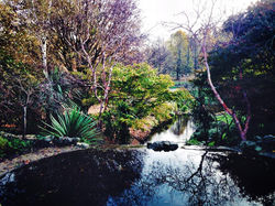 Hidden Treasures, London