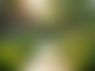 Essential Respite Care Benefits for Caregivers