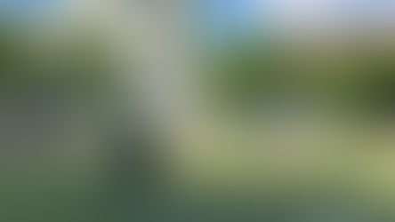 Verdienter Sieg gegen TSV München-Ost