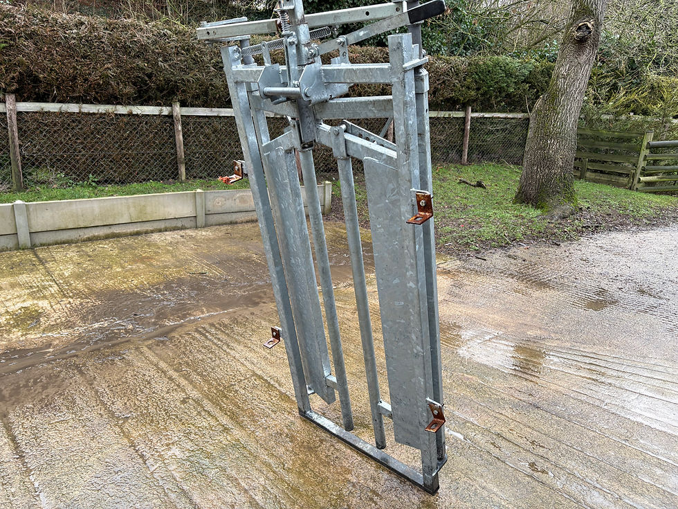 Thumbnail: CATTLE HEADSTOCK