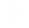 Illustration.png