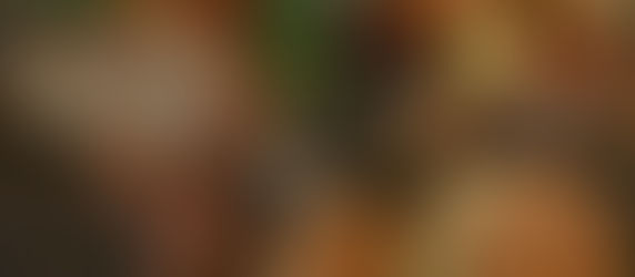 Bridal Brunch Selection