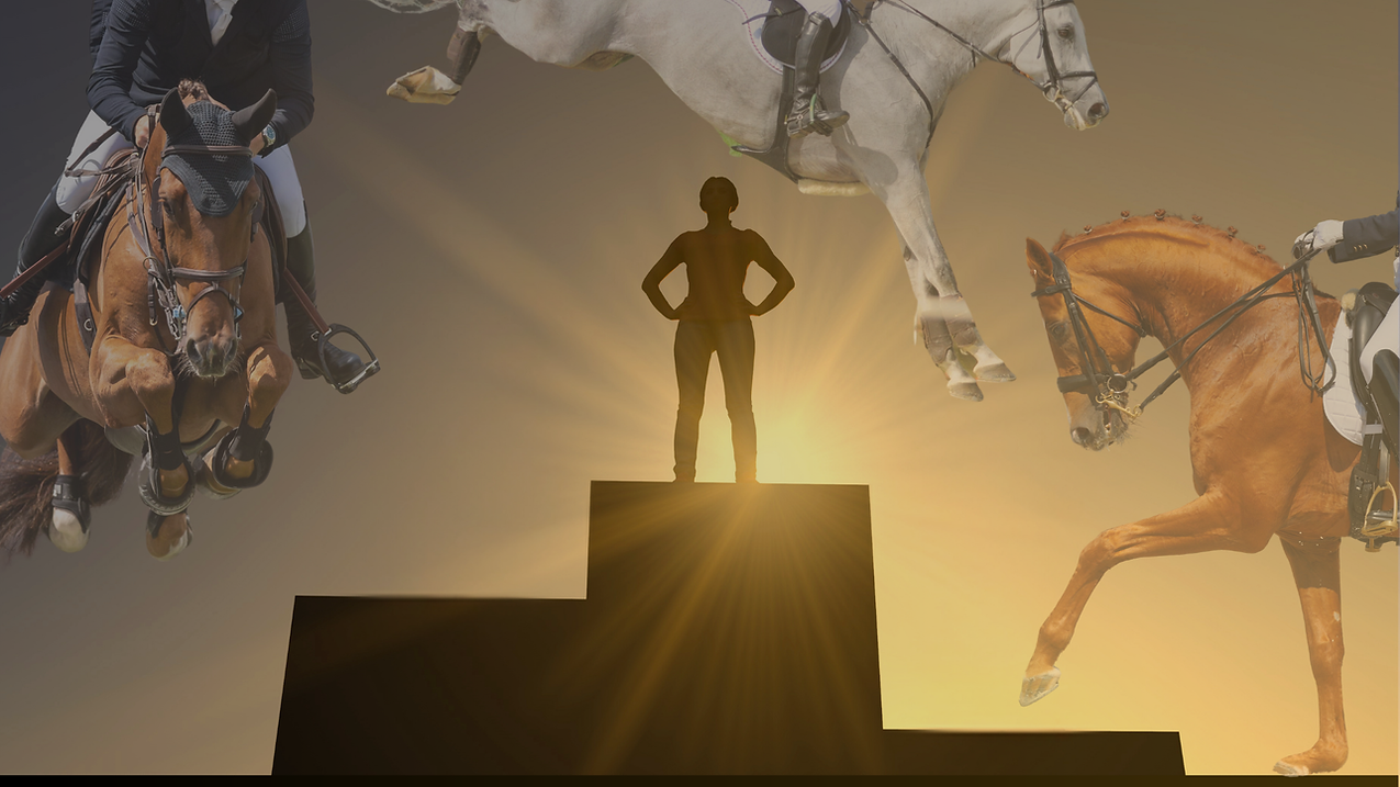 A rider on the podium. Equestrians shown: show jumping, dressage, 3 day eventing.