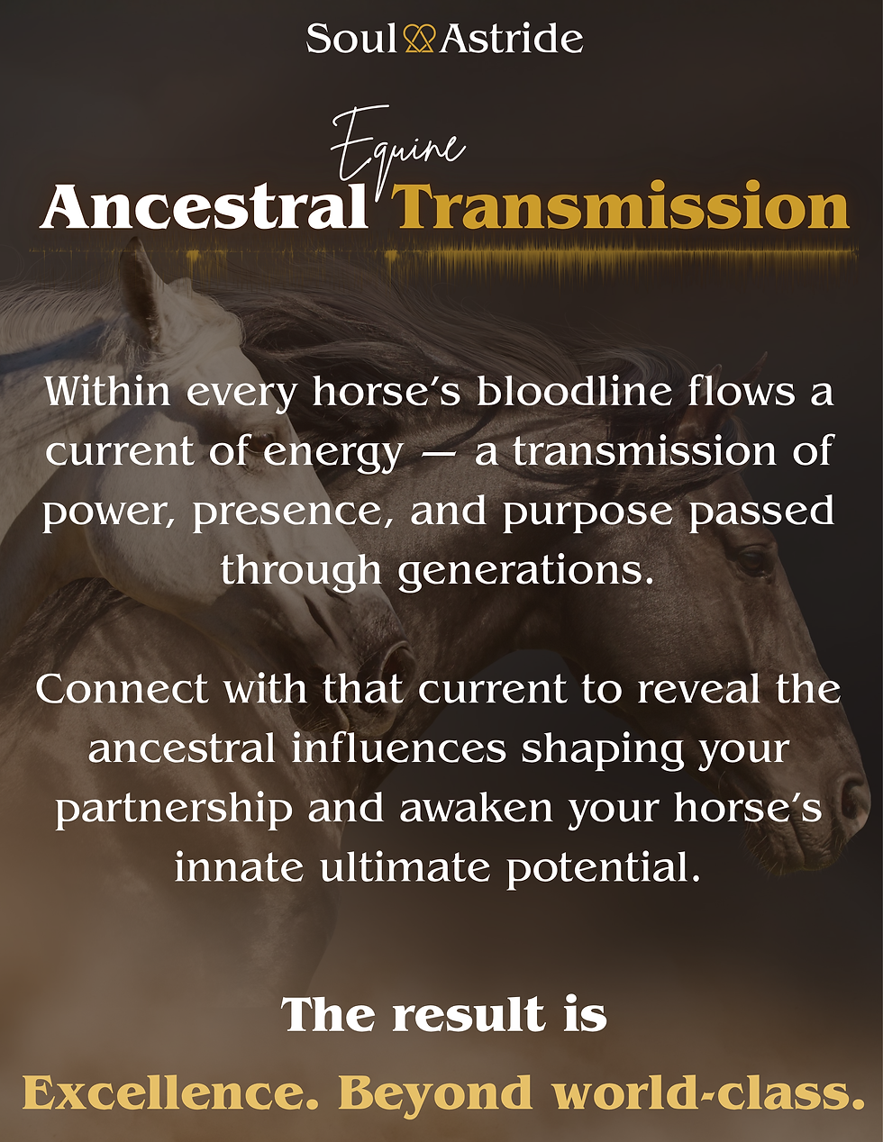 Thumbnail: Basic Equine Ancestral Transmission — Bloodline & Conformation