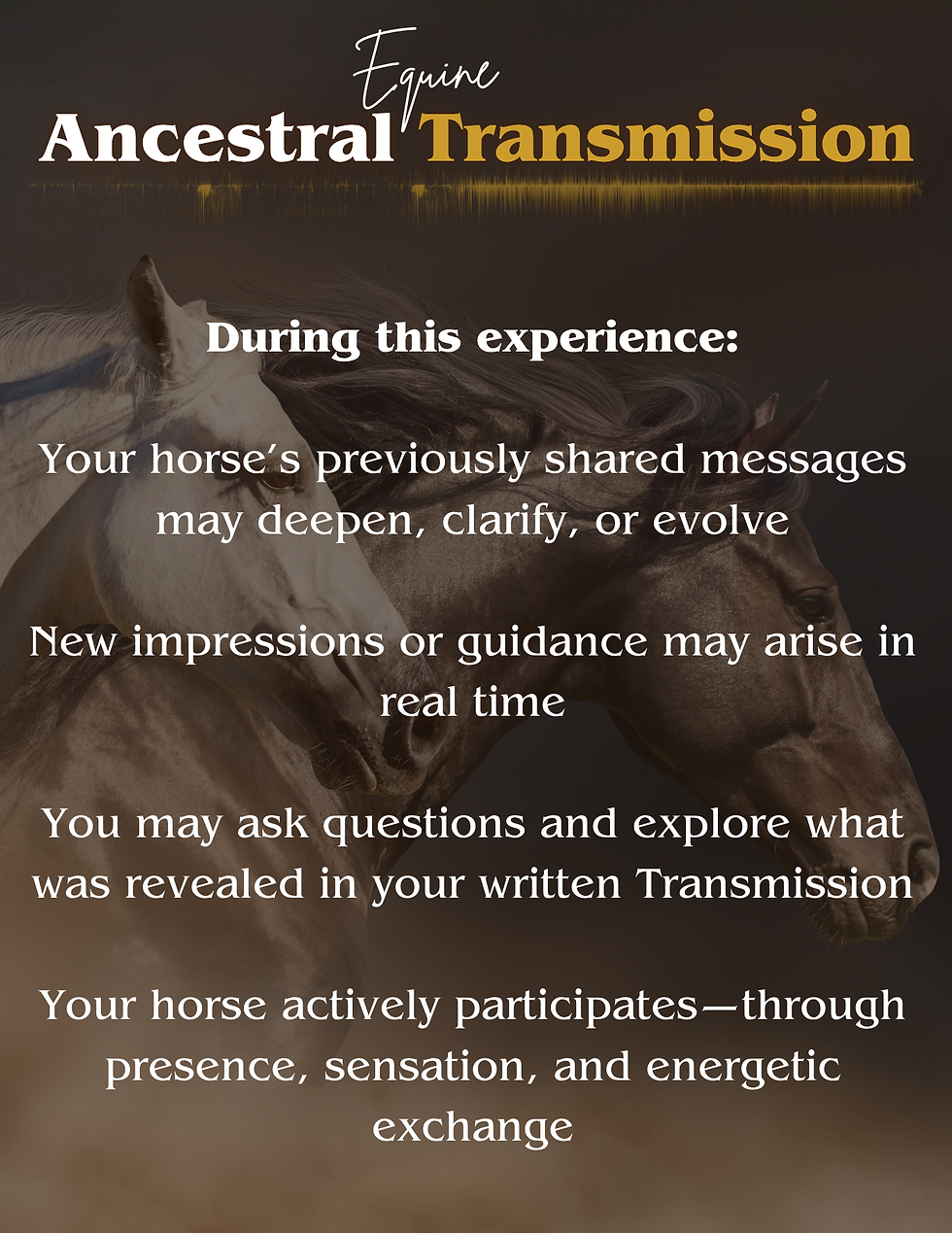 Thumbnail: Premium Equine Ancestral Transmission — Live Ancestral Transmission