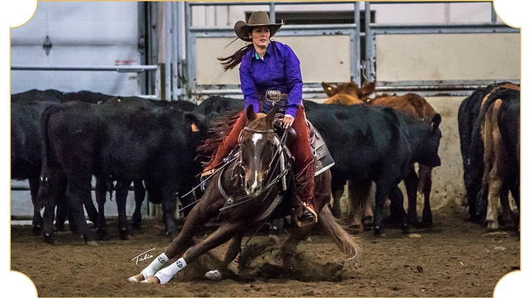 Working Cow Horse Frame 4.png