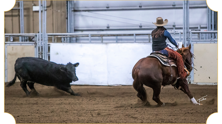 Working Cow Horse Frame 3.png