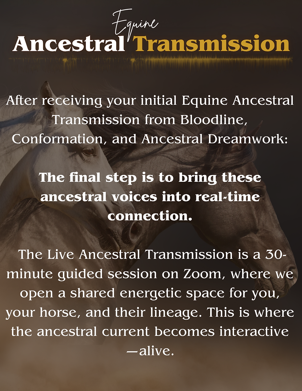 Thumbnail: Premium Equine Ancestral Transmission — Live Ancestral Transmission