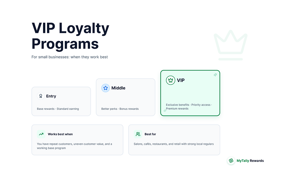 VIP loyalty programs for small businesses with tiered rewards and exclusive member perks