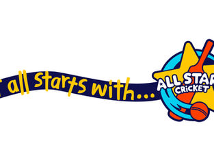 All Stars Cricket at Grayshott