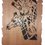 Miniature : Portrait Animalier _ Girafe