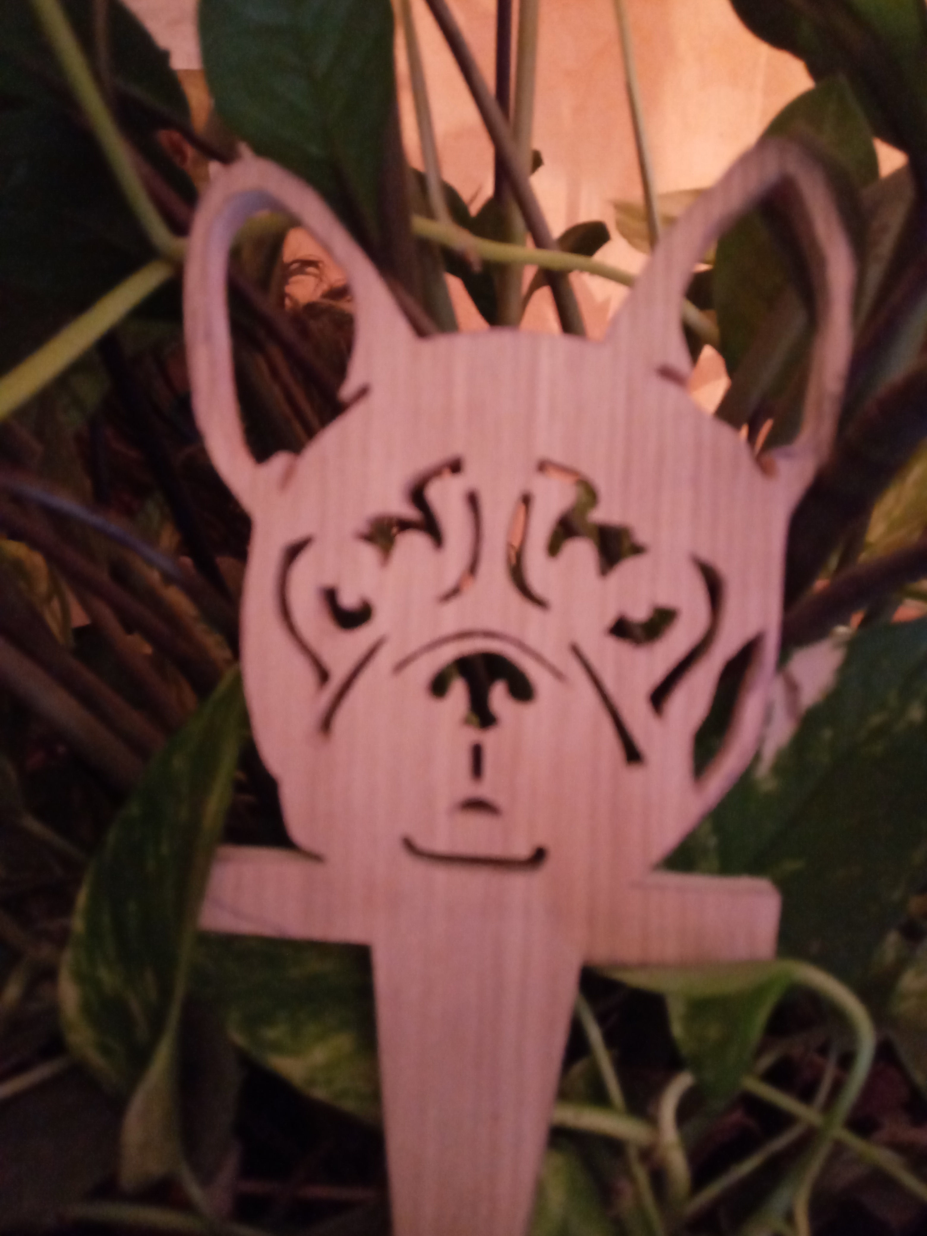 Pique fleur _ Bouledogue