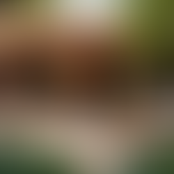 Complete Property Management Made Easy with Hostly for Stress-Free Hosting