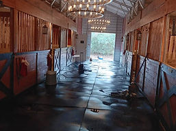 490984320_10065771630119901_684139972204530740_n (1).jpg