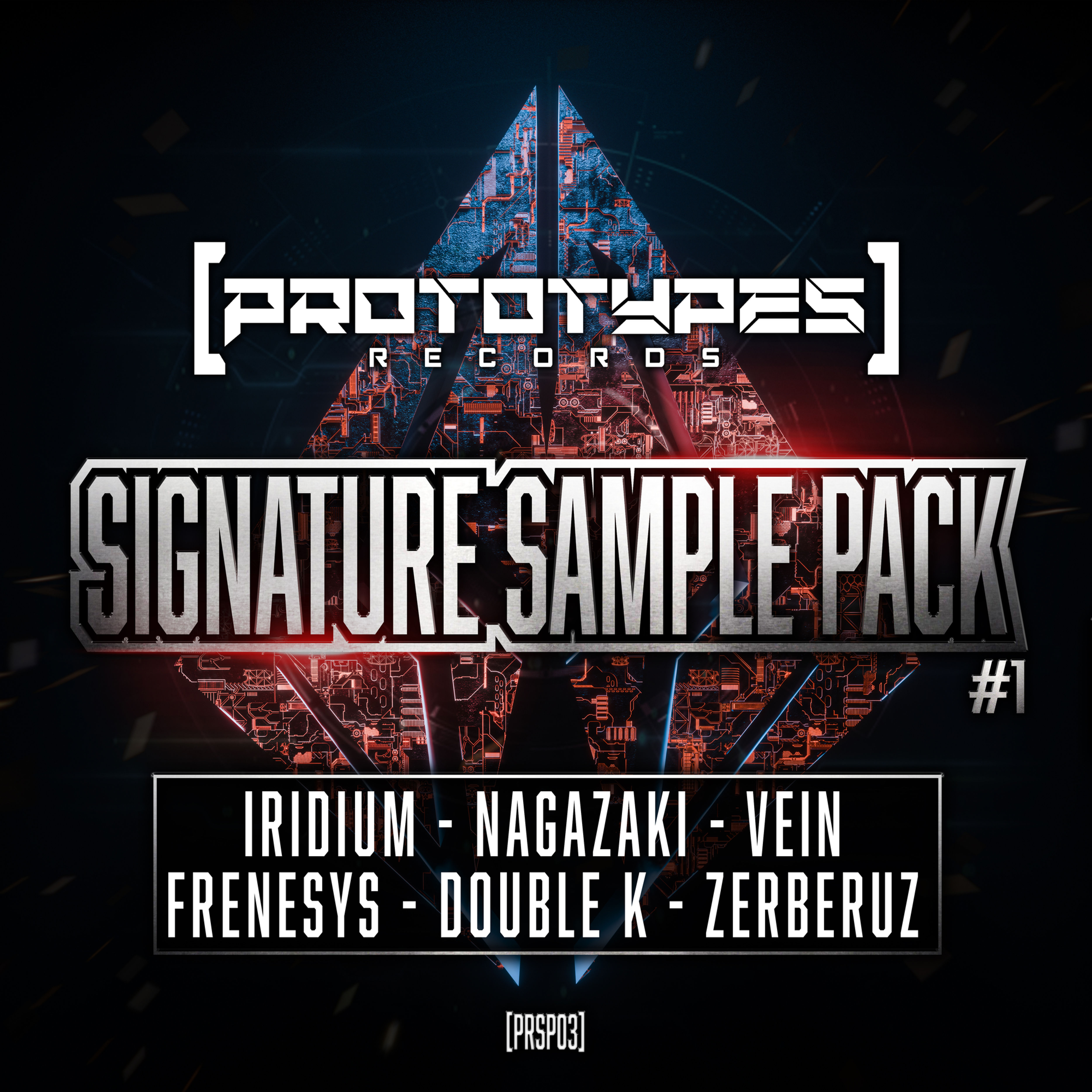 Prototypes Records Signature Sample Pack #01