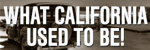 CBID-2233_300x100_Cayucos_f1.gif