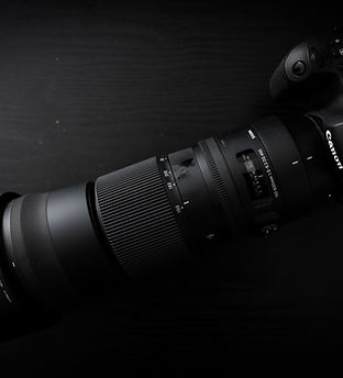 sigma 150-600 mm contemporary.jpg