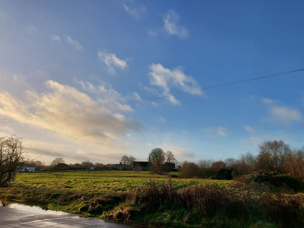 Hempton Landscape