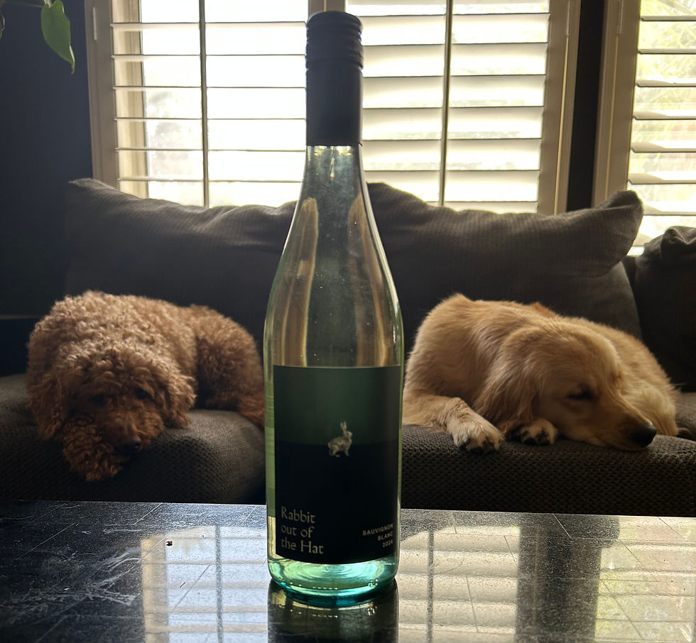 A little magic in a glass with my favorite duo lounging behind the scenes. 🐰✨ Rabbit Out of The Hat Sauvignon Blanc brings bright citrus, gooseberry, and a whisper of Aussie herbaceous charm. Meanwhile, Annie and Lucy are the real showstoppers—cool, calm, and living a pretty cool Vegas lifestyle.