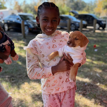 Rethinking Animal Shelters: A Community-Centered Approach