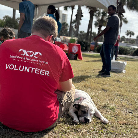 How Volunteers Want to Be Paid: Understanding the Currency of Impact