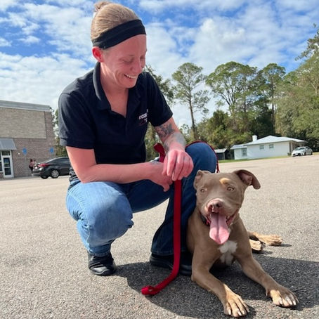 Leading with Heart: Why Empathy is the True Superpower in Animal Welfare
