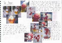 p5.jpg