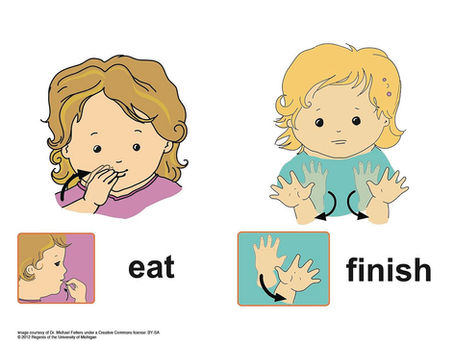 Baby Sign Language
