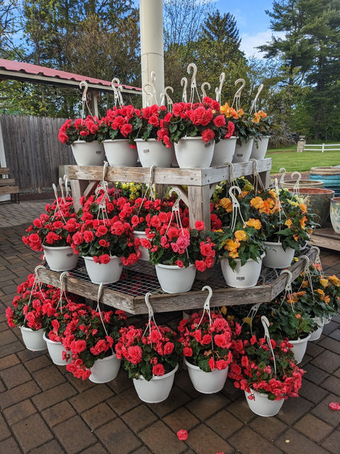 Colorful flowers displayed and merchandised by Simply Set Merchandisers