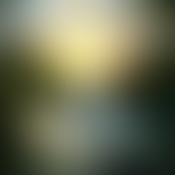 I Only Want to be Light... Really?