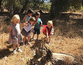 Animal Tracking… Searching for animals h