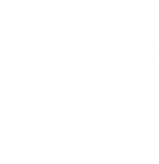 幫派械鬥1.png