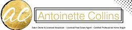 Antoinette Collins BANNER template.jpg