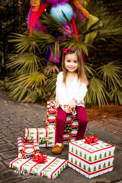Griffin Christmas 2018 00020_