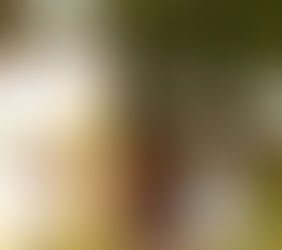 Allyson | Bridal Portraits | Spring Hill College | Mobile, Alabama