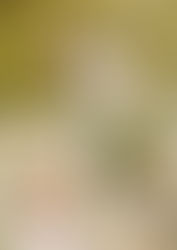 Julie + Mason | Engagement | Handey's Farm and Nursery + The Oaks Plantation | Pike Road, Alabam