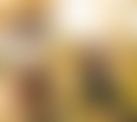 Cluck Family | Mobile, Alabama