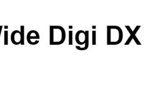 World Wide Digi DX Contest