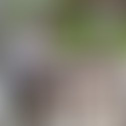 Third Pacific DXpedition Oct. 25th - Nov. 19th 2025 by DK7PE