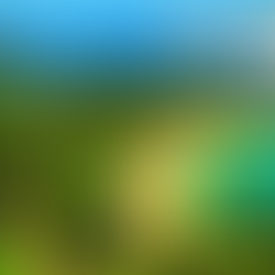 VK9NT - Norfolk Isl.