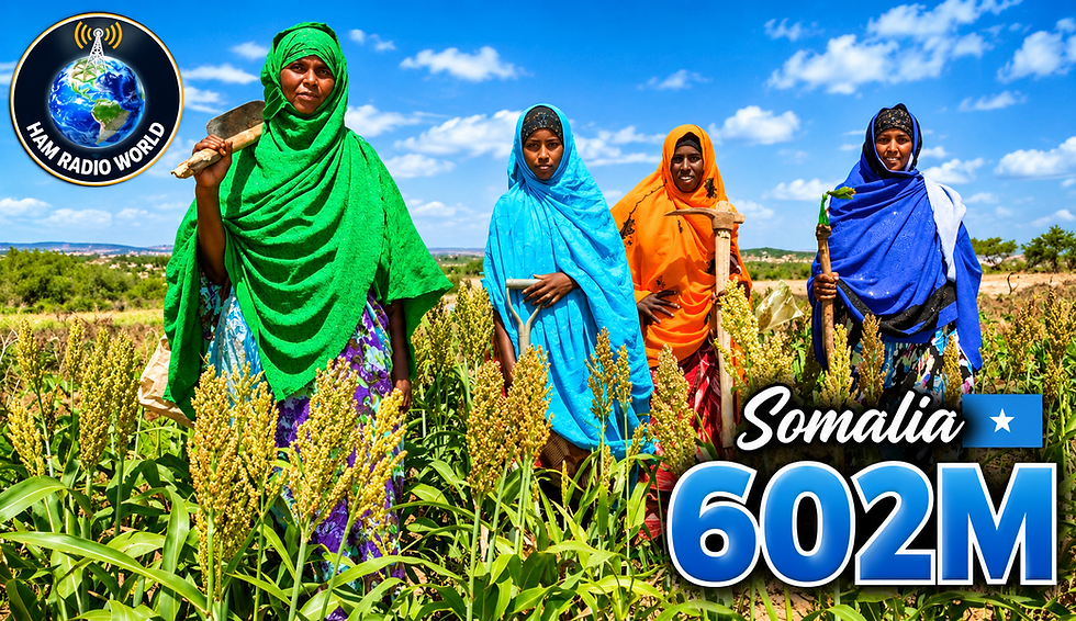 6O2M - Somalia