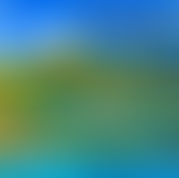 V47FWX - St Kitts and Nevis
